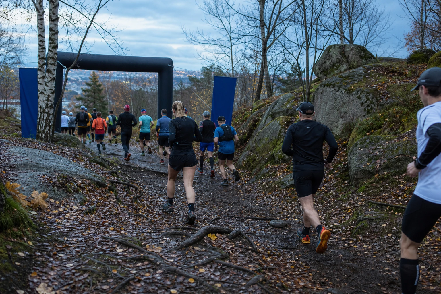 Terränglöpare längs en klippig kustled