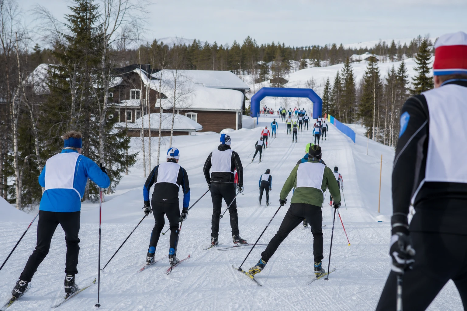 Längdskidåkare i klassiskt spår genom granskog