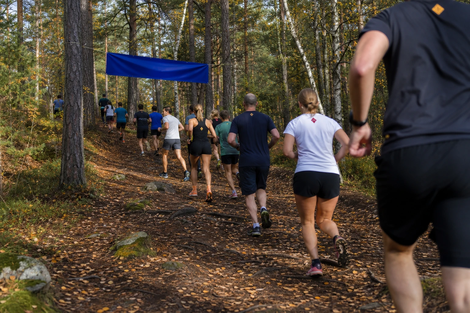 Löpare på en stig genom öppen hedmark